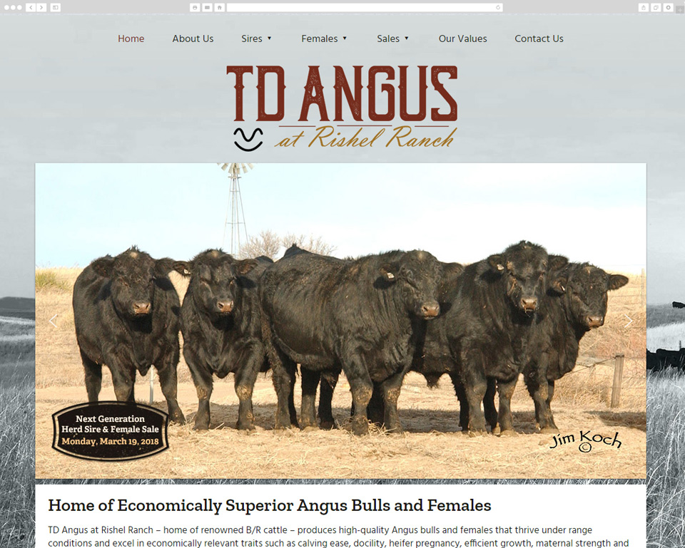 TD Angus desktop screenshot