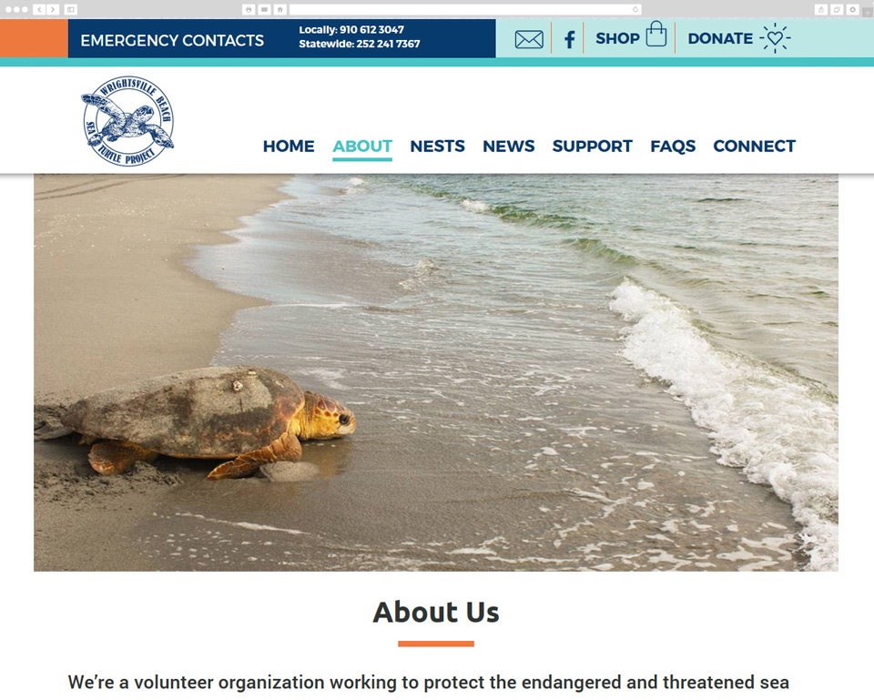 Wrightsville Beach Sea Turtle Project screenshot