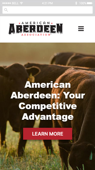 American Aberdeen mobile screenshot
