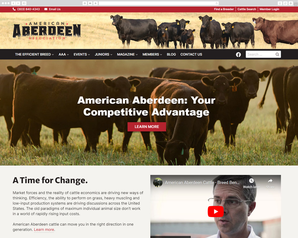American Aberdeen desktop screenshot