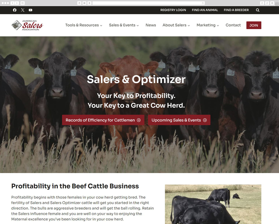 American Salers Association desktop screenshot